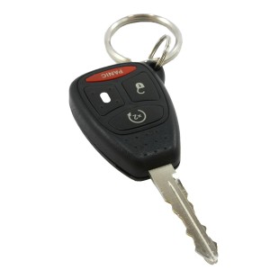 Remote Head Car Key